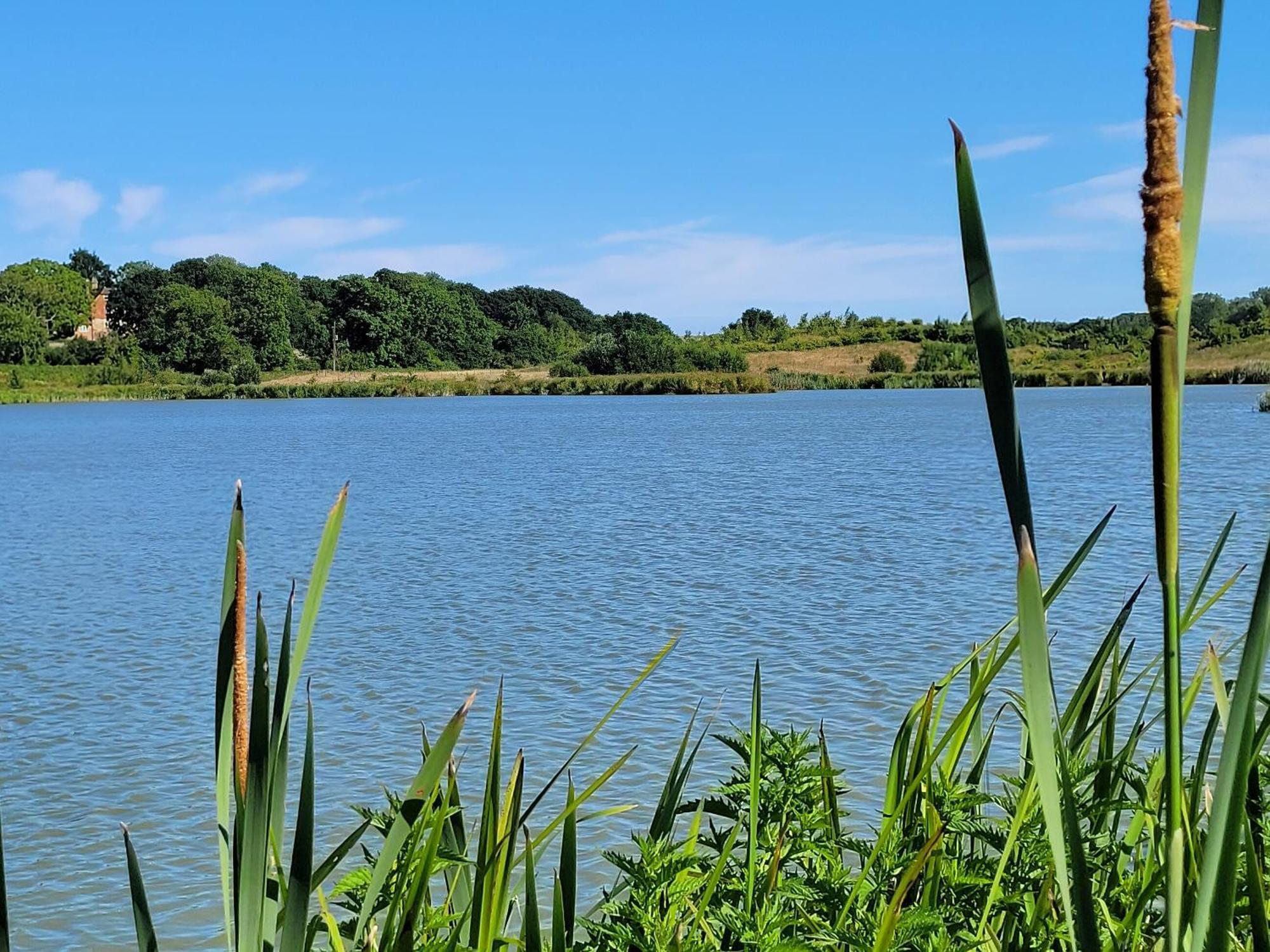 Hayfield Haven-Uk40691 Villa Crowhurst  Ngoại thất bức ảnh